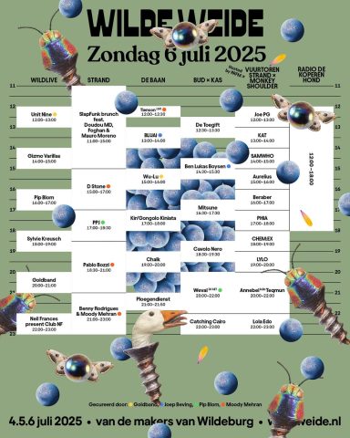 Programmaoverzicht van WildenWeide op 6 juli 2025 met diverse activiteiten en tijden.